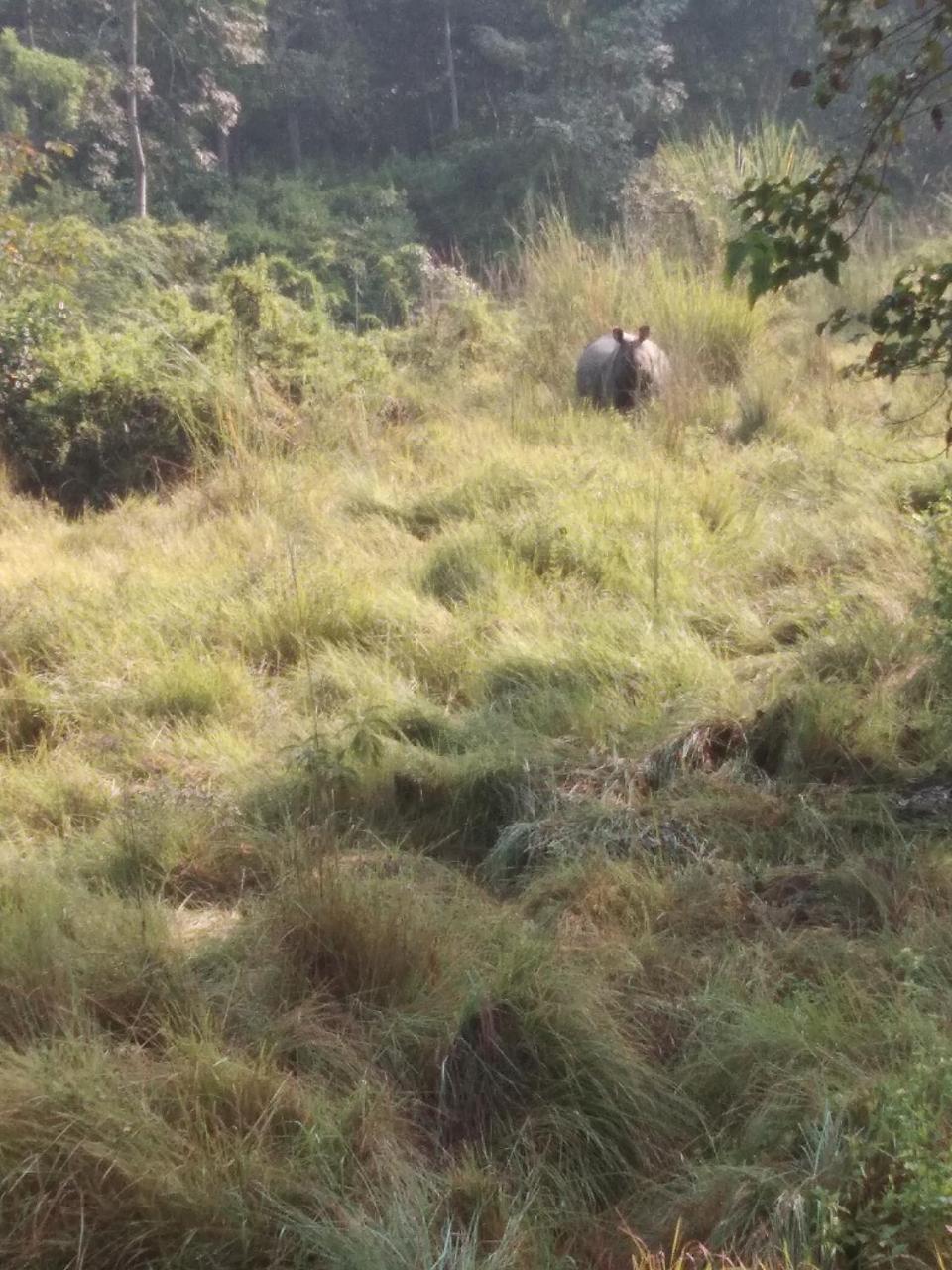 Chital Lodge Chitwan Exterior photo